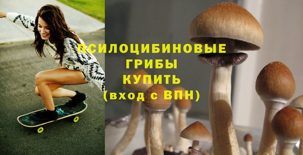 a pvp Алзамай
