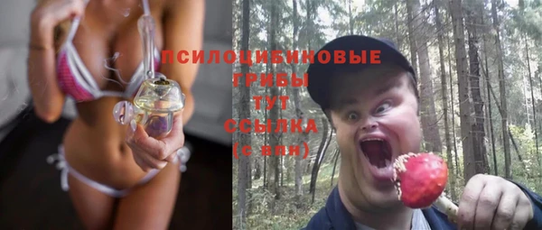 a pvp Алзамай